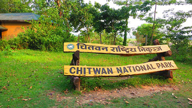 निकुञ्जका वन्यजन्तुलाई नहरको पानी