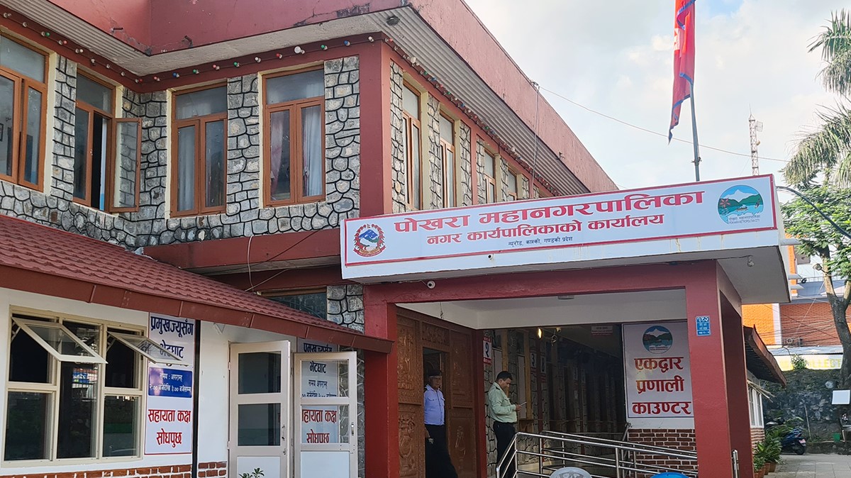 सिप्लिकान र चिउरीका बिरुवा अनुदानमा वितरण गर्दै महानगर