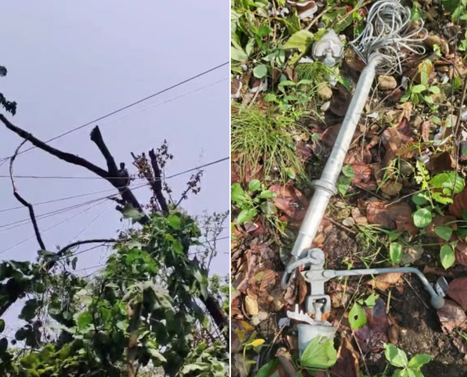 हावाहुरीले विभिन्न स्थानमा रुख ढल्दा बिजुली आपूर्ति अवरुद्ध