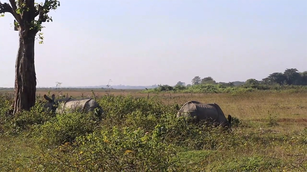 पर्यटकको रोजाइमा कोशी टप्पु