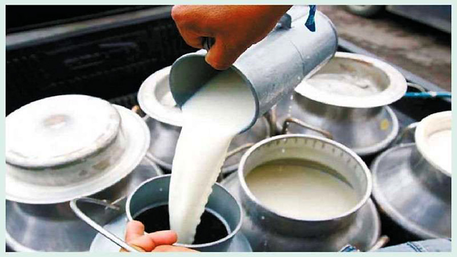 दुग्ध विकास संस्थानले १२ करोड बक्यौता भुक्तानी गर्‍यो, दैनिक १ करोड वितरण