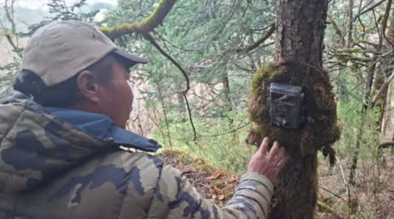 हाब्रेको अवस्था पहिचान गर्न आरक्ष क्षेत्रमा क्यामेरा जडान