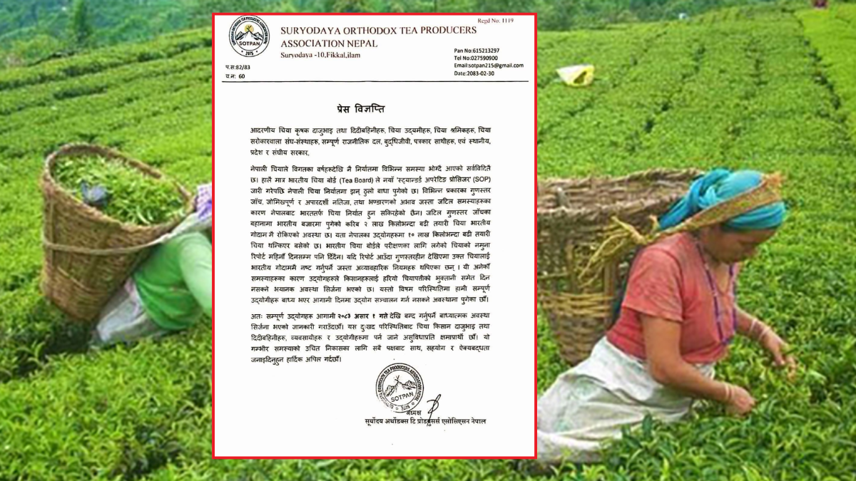 भारतले गर्यो नेपाली चिया निर्यातमा अवरोध: उद्योगीहरूले गरे उद्योग नै बन्द गर्ने घोषणा